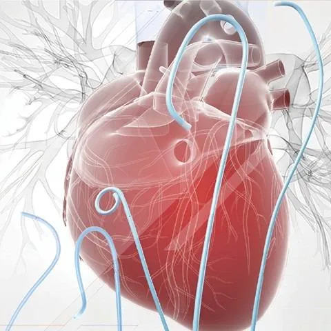 Cardiovascular products