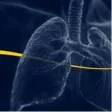 The Enterprise Imaging Platform