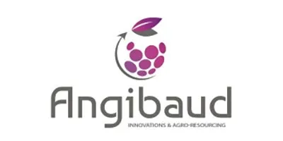 ANGIBAUD