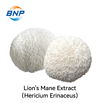 Lion's Mane(Hericium Erinaceus) Extract