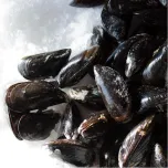 Northern Blue Mussels