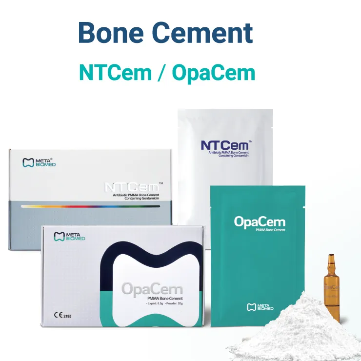 Bone Cement
