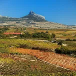 Amona Crianza
