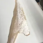 ST600SV - Free Standing Skinner