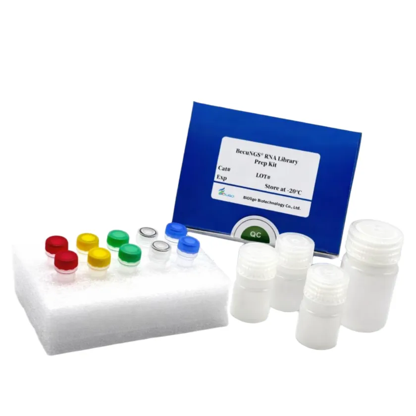 BecuNGS® Fast DNA Library Prep Kit for illumina V2 (Cat. No. AK260401)