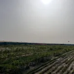 The Taklamakan Desert area in the southern Xinjiang region