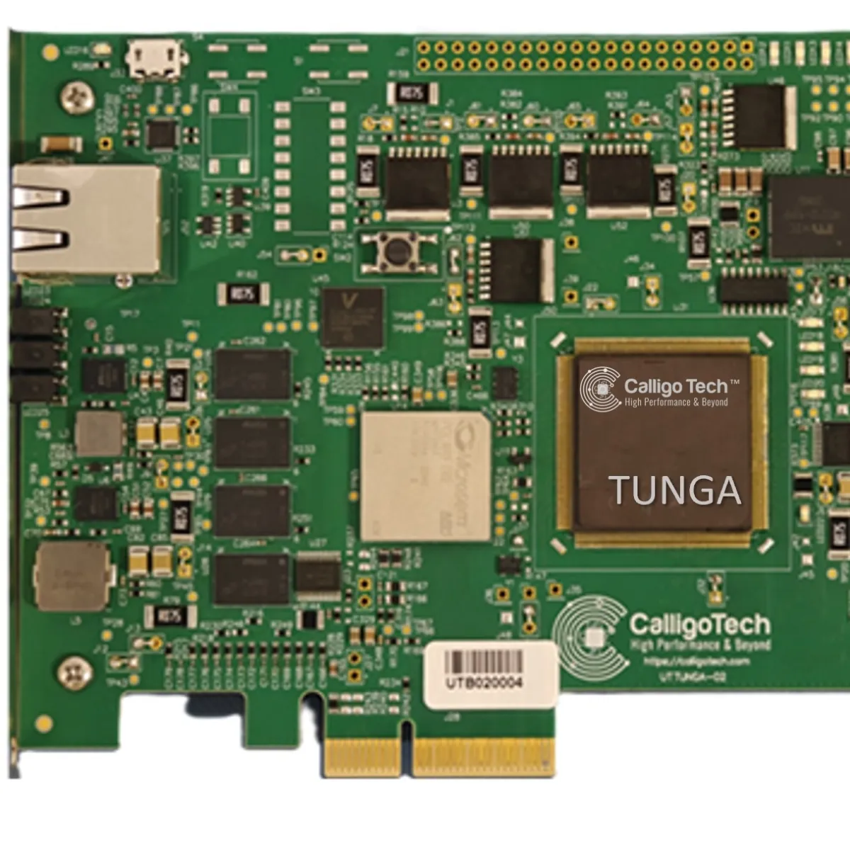 Posit based RISC V - Accelerator Card