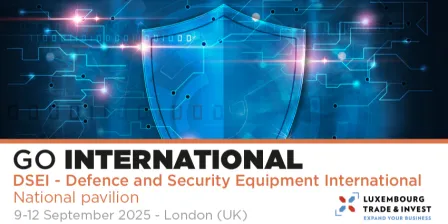 DSEI 2025