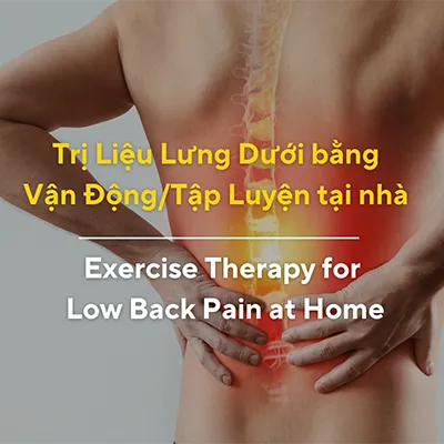 Giới thiệu về khóa học: Trị Liệu Lưng Dưới bằng Vận Động/Tập Luyện tại nhà.