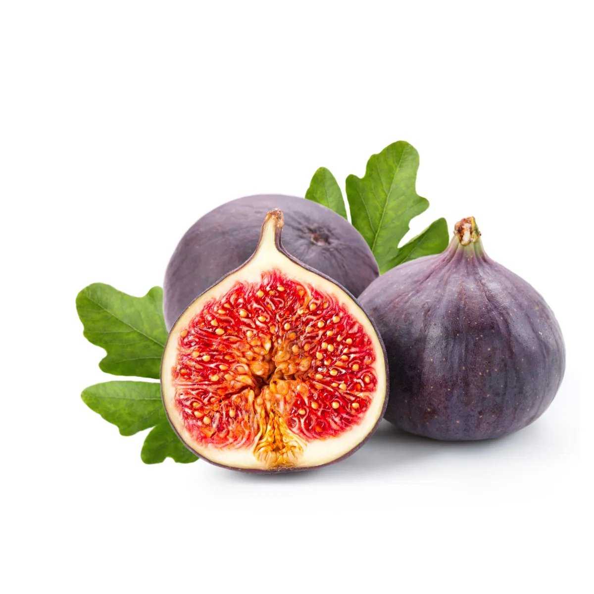 ABAlife®: FIG FRUIT EXTRACT