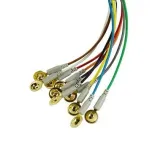 CNSAC Gold Cup electrodes