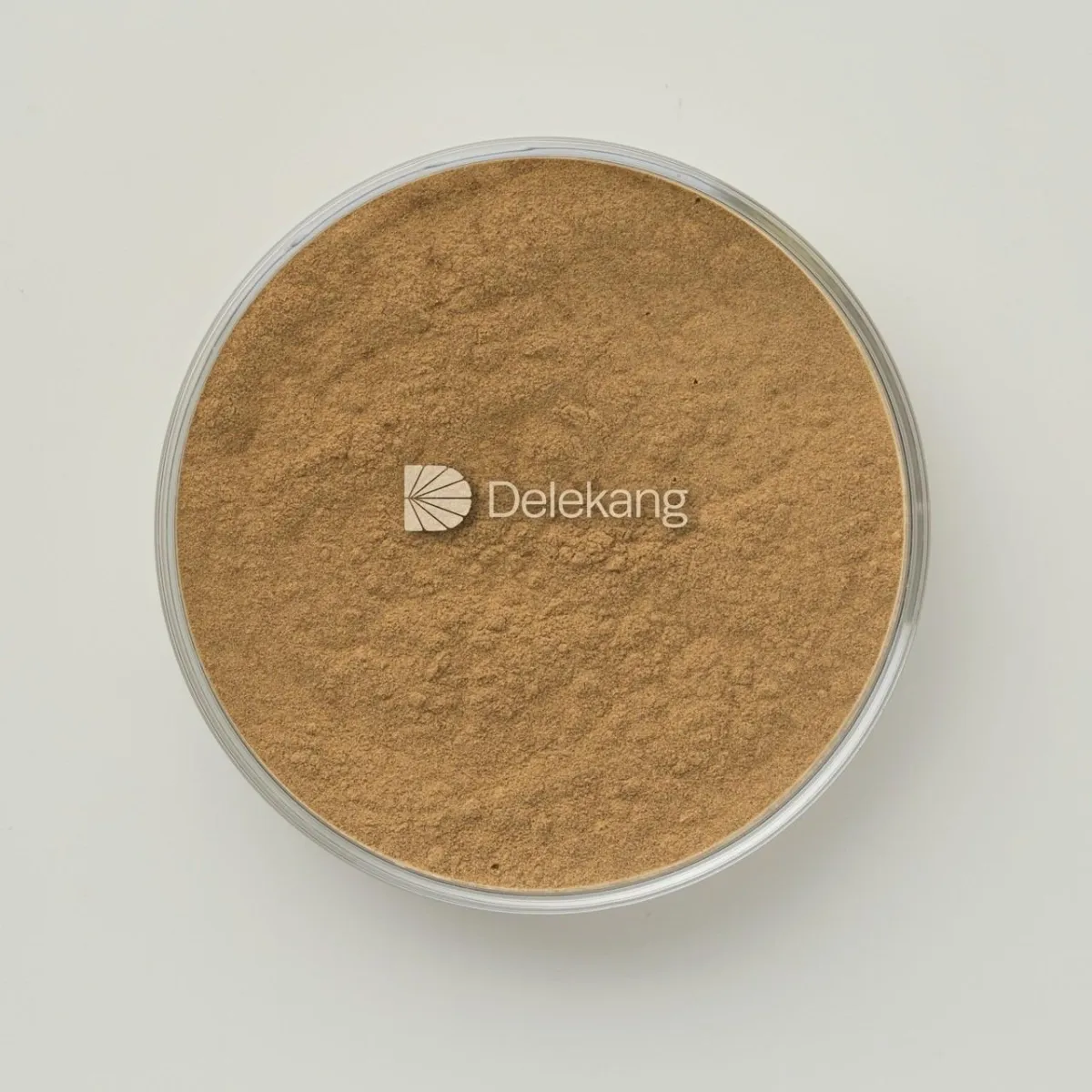 Ginkgo biloba extract