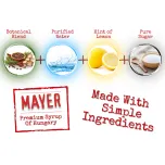 Mayer Premium Botanical Tonic Syrup / Cordial