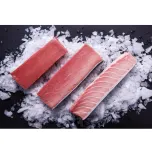 BLUEFIN TUNA (Thunnus Thynnus)