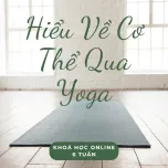 OM Factory Yoga Online