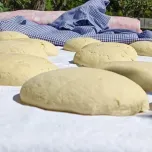 VISITE GUIDATE E DEGUSTAZIONI