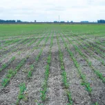 Piloto Automático Hidráulico