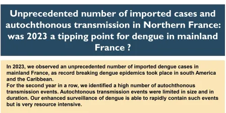 3b - Unprecedented number of imported cases and autochthonous transmission in Northern France: was 2023 a tipping point for dengue in mainland France ?