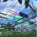 Voltiris - les premiers modules solaires compatibles avec les serres verres