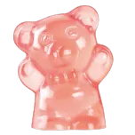 BioBor Probiotic Gummy Bears Share packing 225g