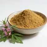 Motherwort Extract