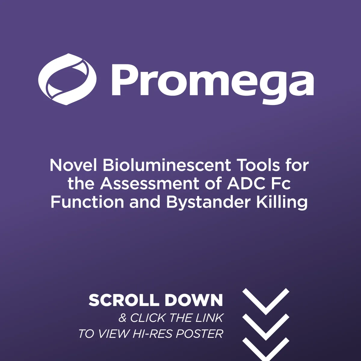 Novel Bioluminescent Tools for the Assessment of ADC Fc Function and Bystander Killing