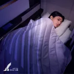 Business Falcon Gold Class