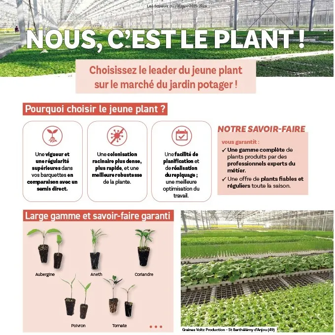 Nous, c'est le plant !