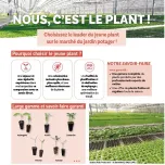 Nous, c'est le plant !