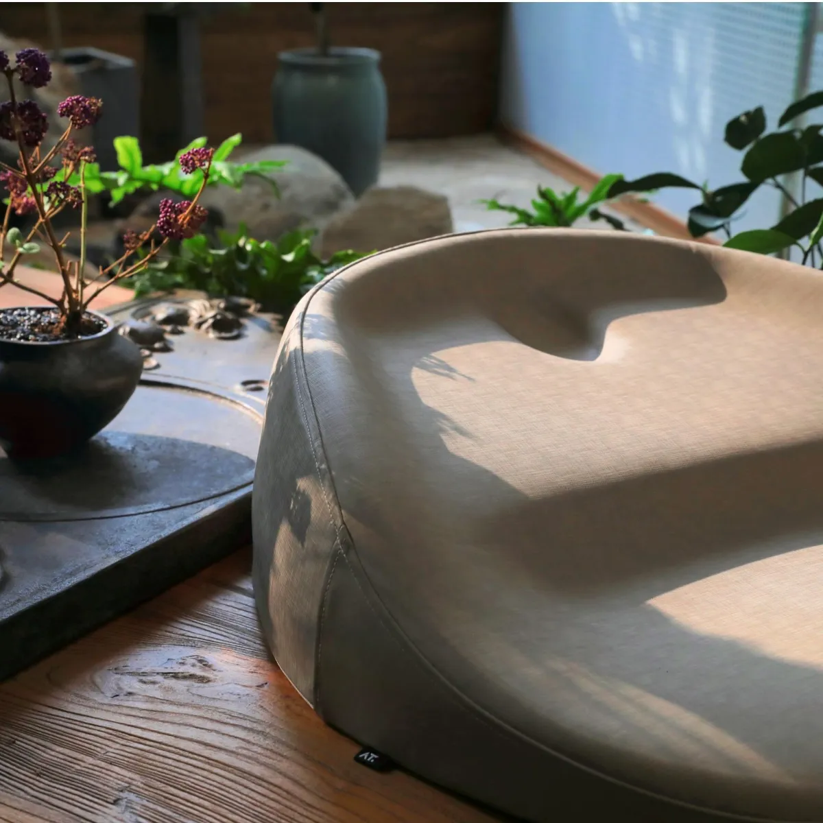 THE ENERGY FIELD HITSTHE CUSHION