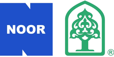 NOOR SCIENTIFIC & TRADE LLC