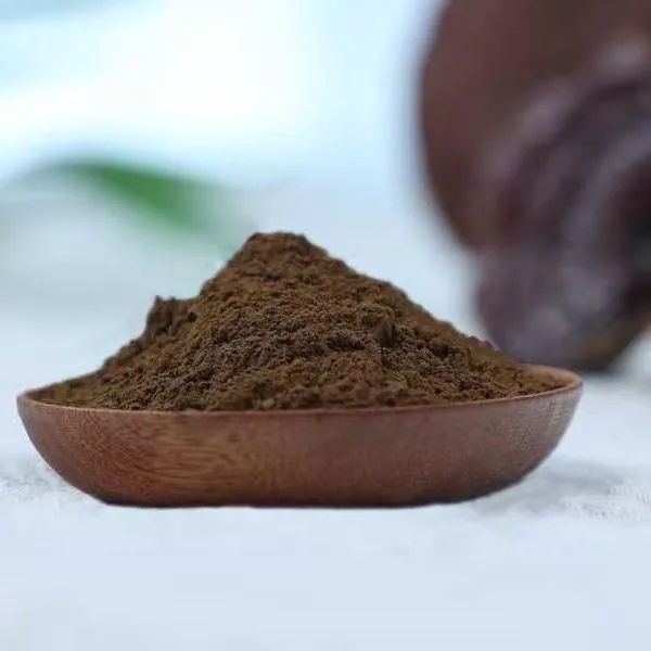 Organic Reishi extract 15:1