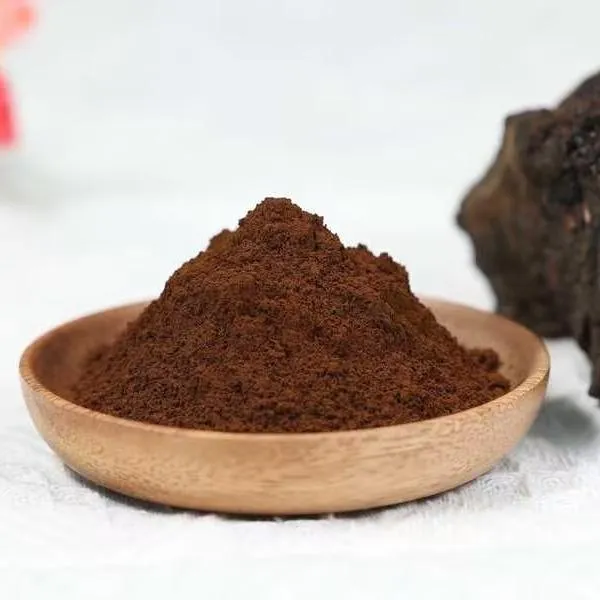 Chaga powder (Chaga extract powder 1:1)