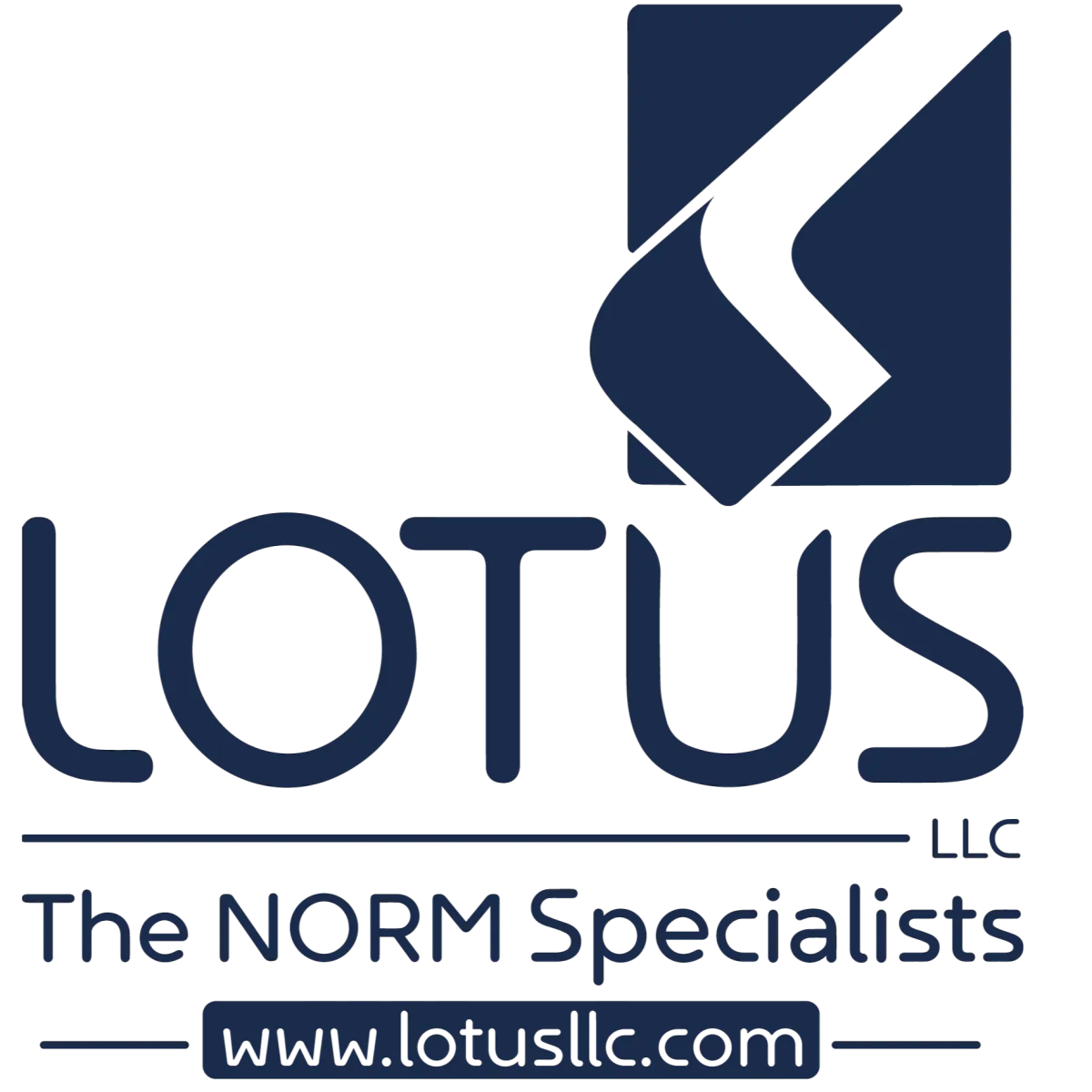 ENVIRONMENTAL SERVICES