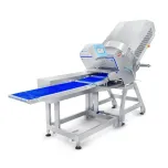 FATIADORA E INTERFOLHADORA INDUSTRIAL FTI-250 PLUS (COM SISTEMA DE PESAGEM)