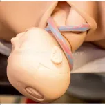 GD/F5700 Comprehensive Obstetrics Training System