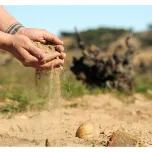Gota de Arena