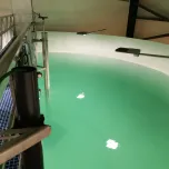 SILIKAL® FishTank System