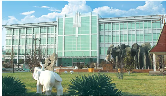 Paracetamol (Acetaminophen) 40,000Mt/Year