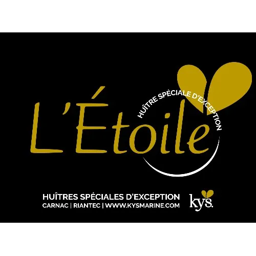 Super Special Oysters