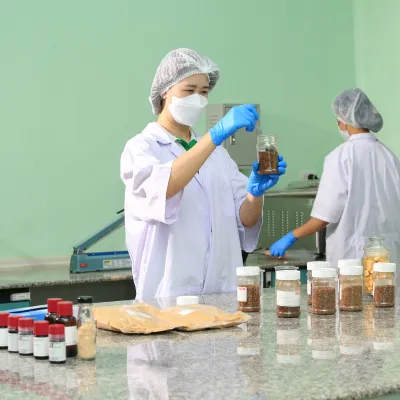 Innovation Ingredient