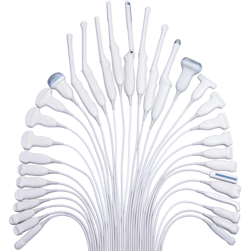 Ultrasound Probe For Human