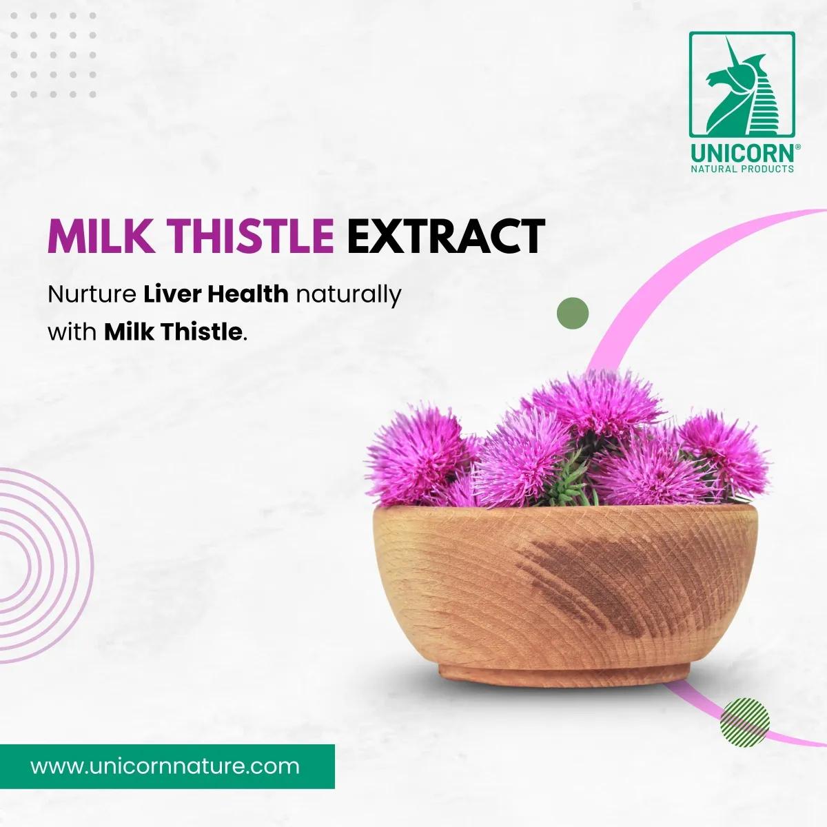 Milk Thistle Extract