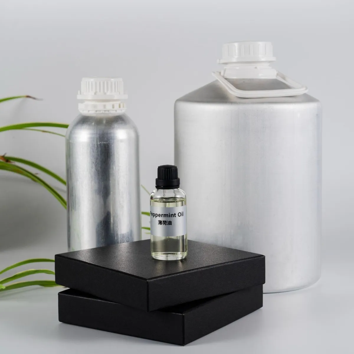 Refresh Naturally | GMP-Made Organic Peppermint Oil (EU/USDA)