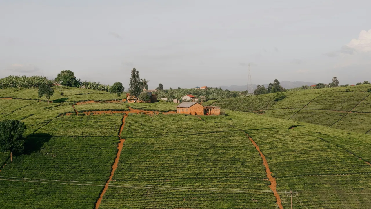 Systemic approaches for sustainable growth: what have we learnt?