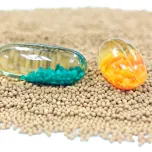 Sustained Release Micro Beads