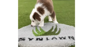 AIA Puppy Park sponsored by SYNLawn