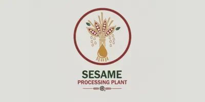 Sesame Processing Plant - Industrial Project Service (IPS)