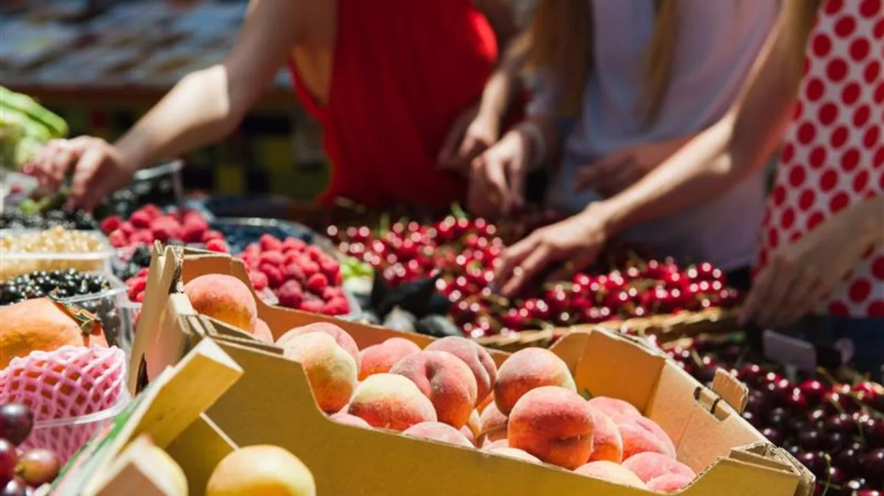 Filière fruits et légumes frais : bilan économique et emplois au cœur des dynamiques agricoles