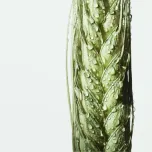 CERAMOSIDES™